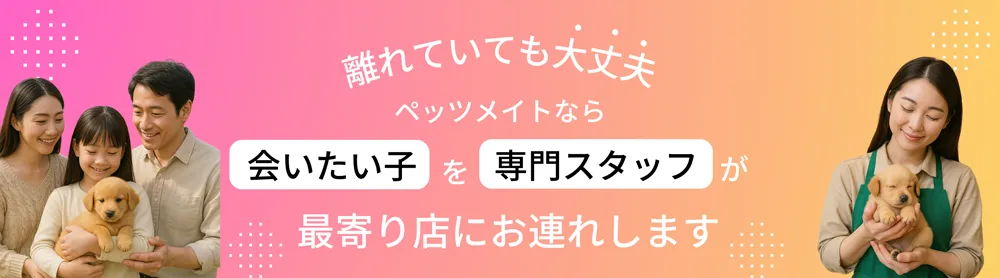  取扱ショップ