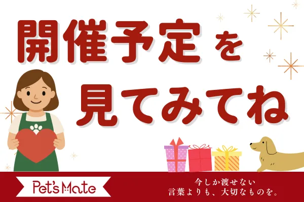 イベント情報