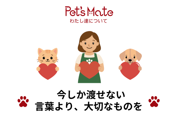 会社資料