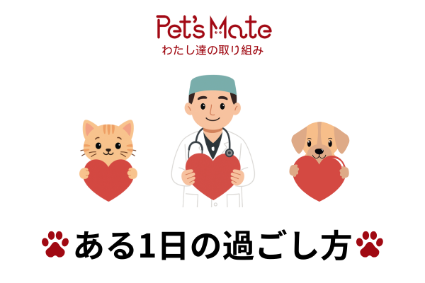 ペットたちの1日