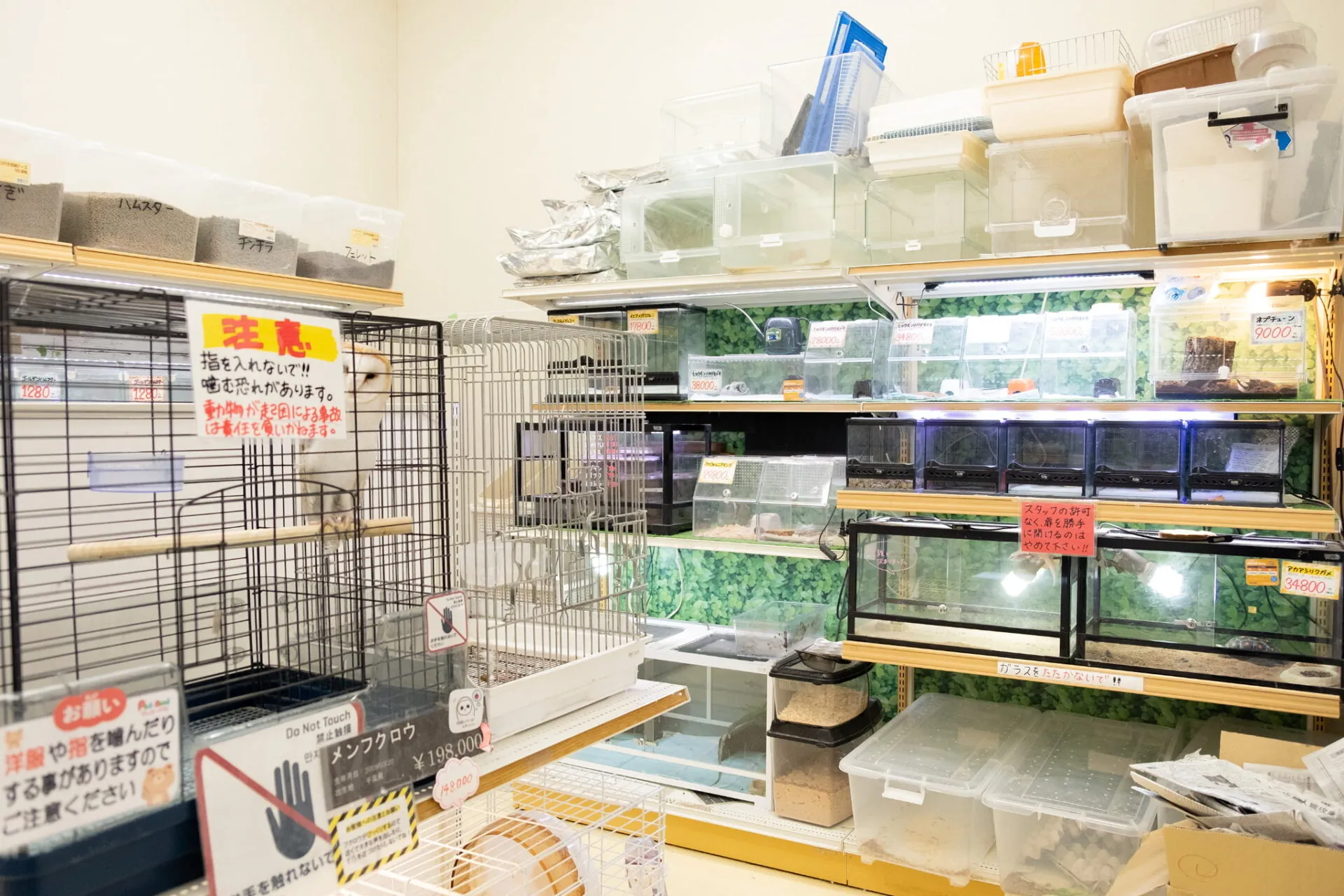 ペットアミ須恵店 店内