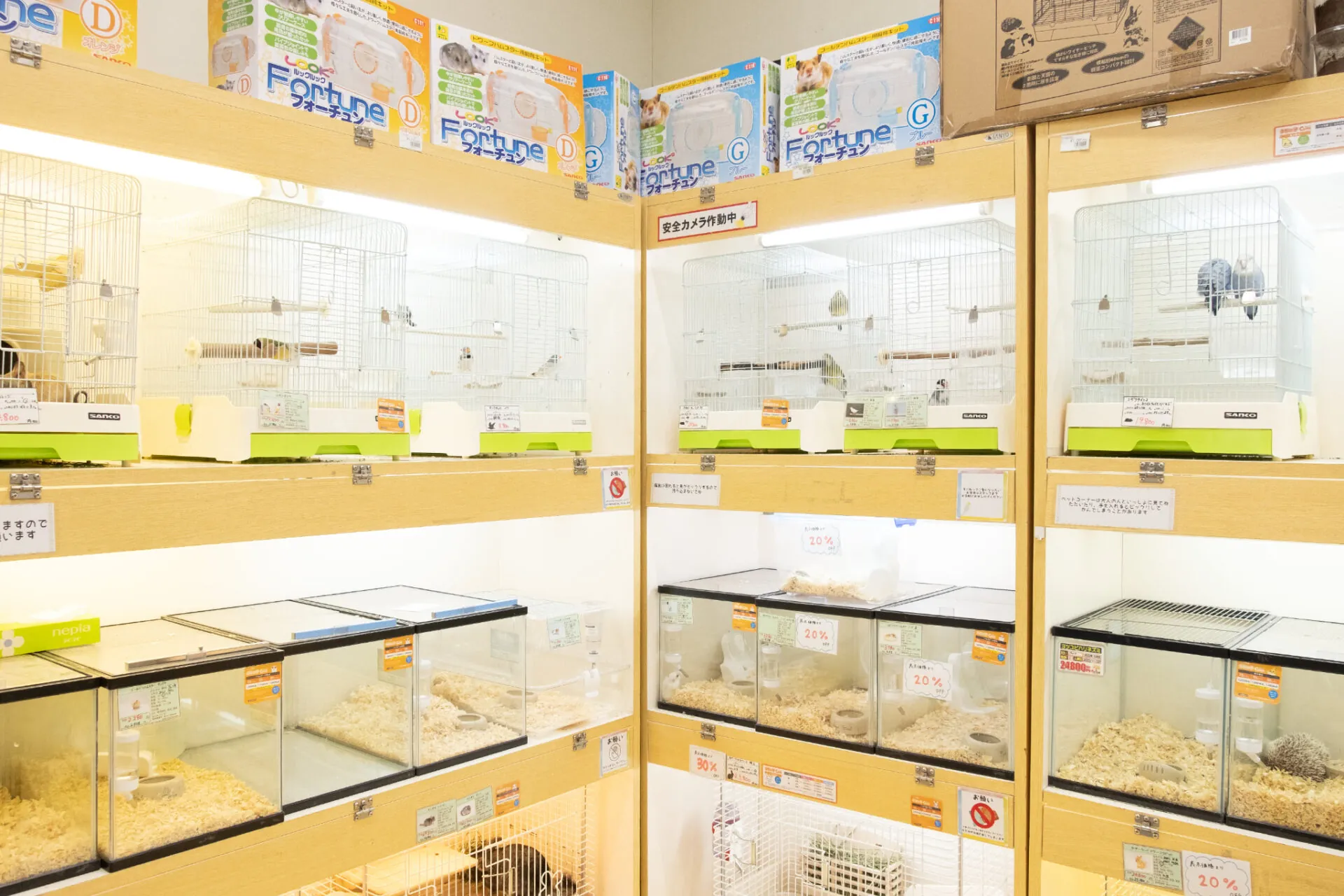 ペットアミ筑後店 店内