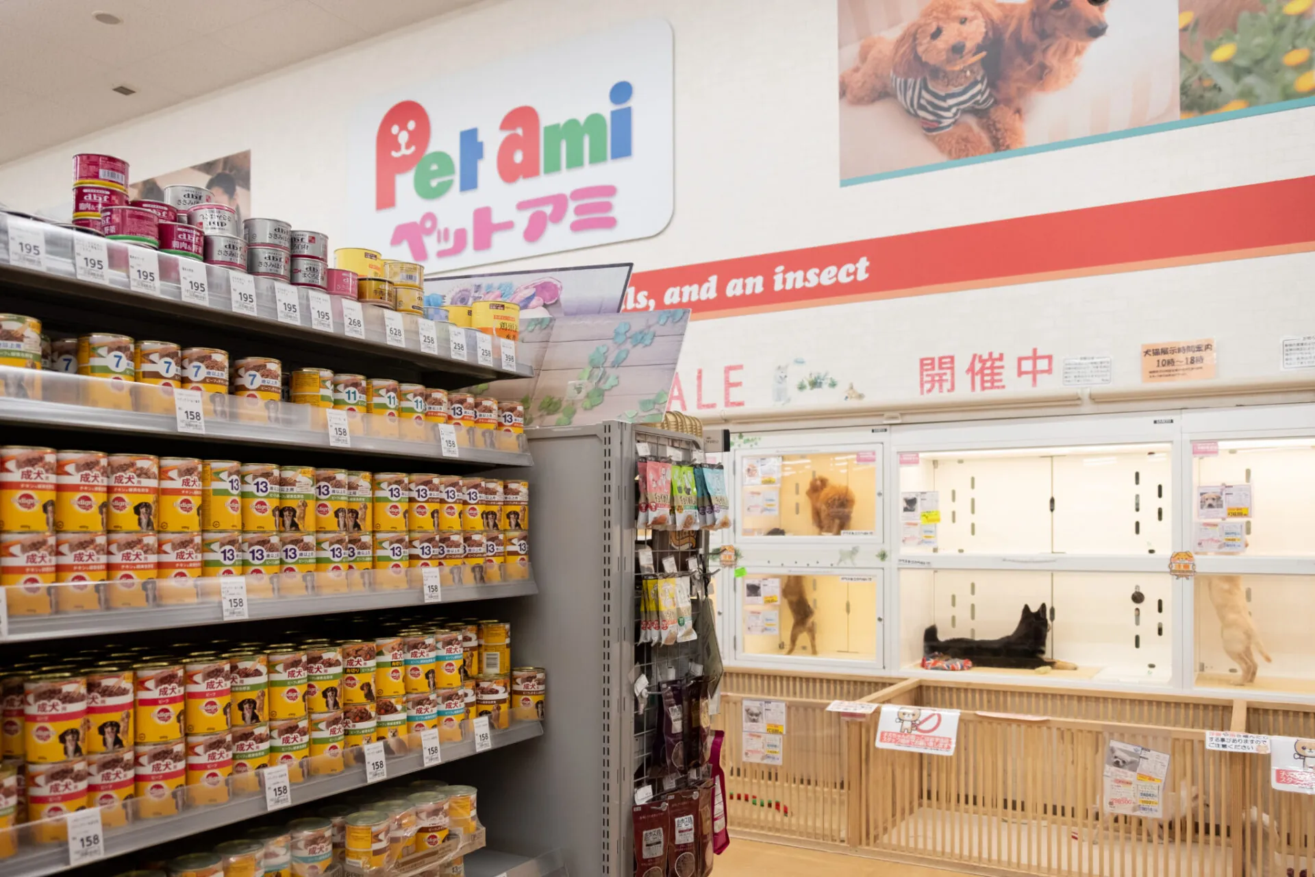 ペットアミ須恵店 店内