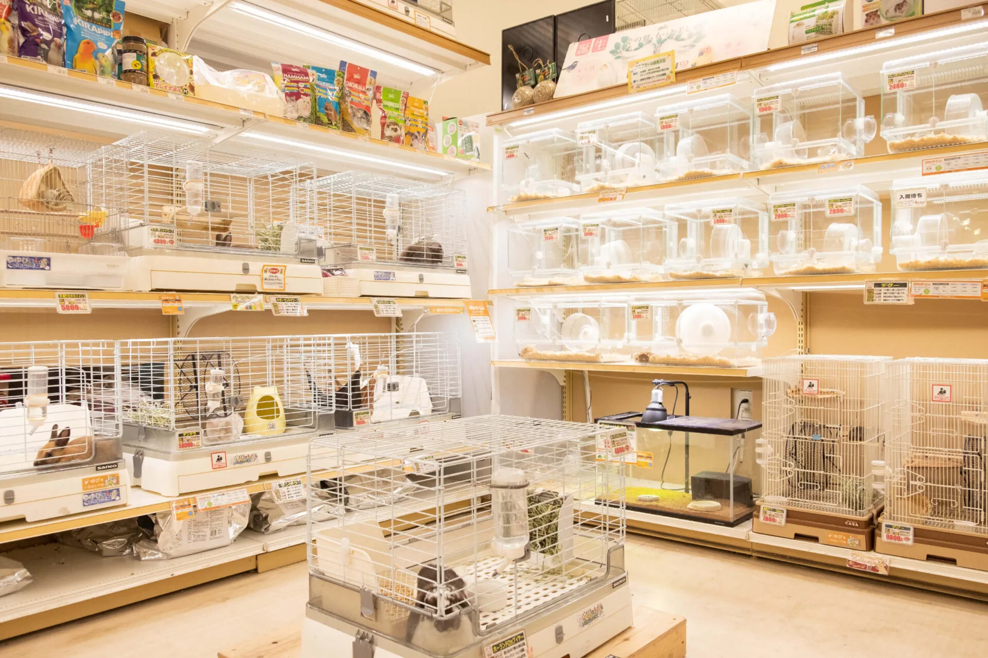ペットアミ甘木店 店内