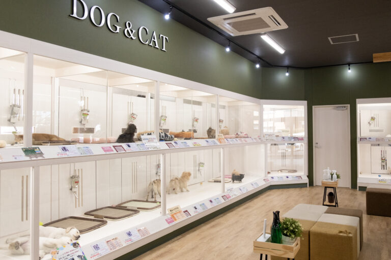 ペッツメイト佐賀店 店内
