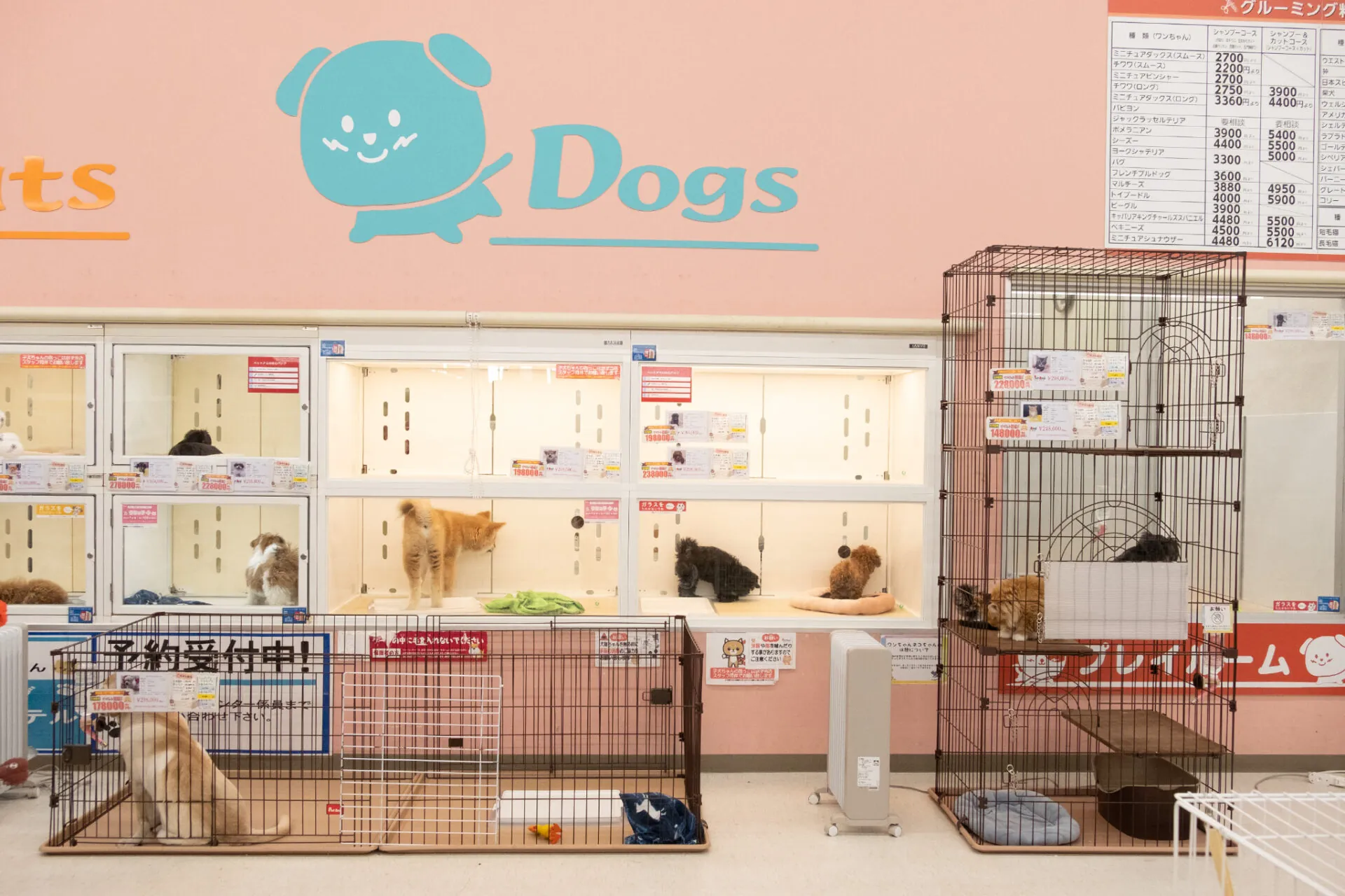 ペットアミ筑後店 店内
