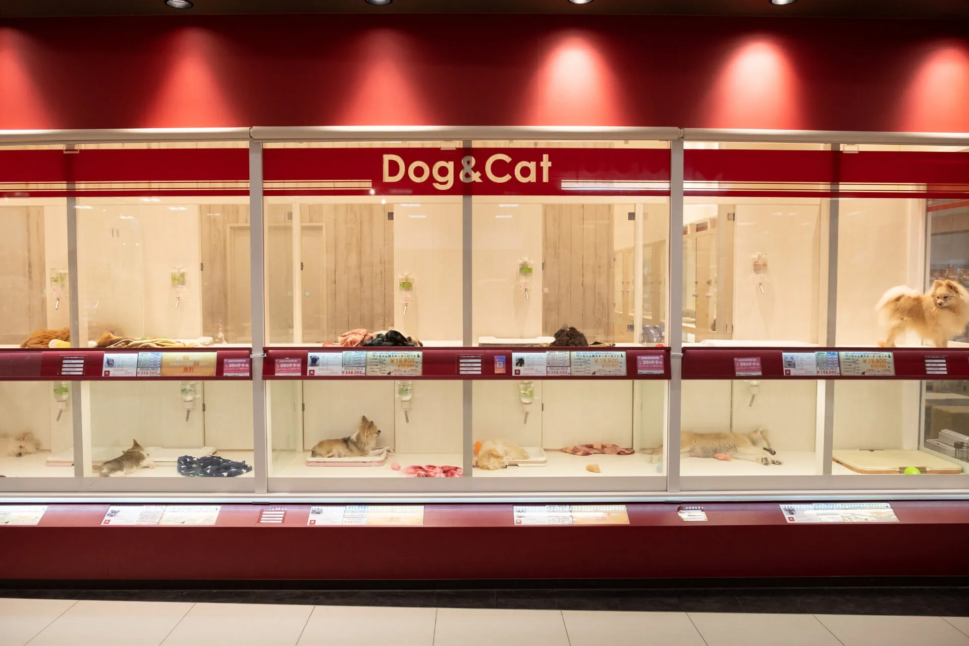 ペッツメイトイオン小郡店 店内