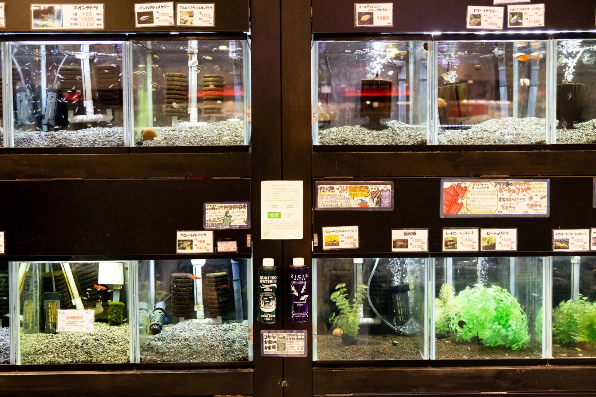 ペッツメイトイオン乙金店 店内