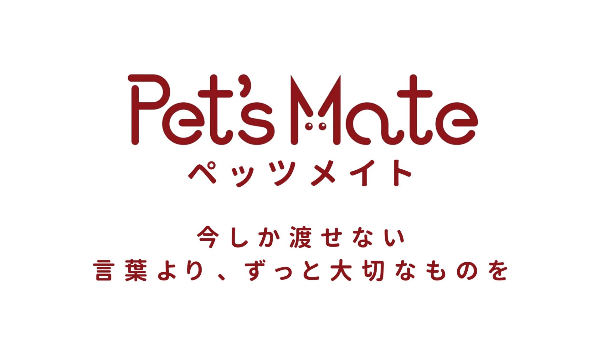 ペッツメイト
