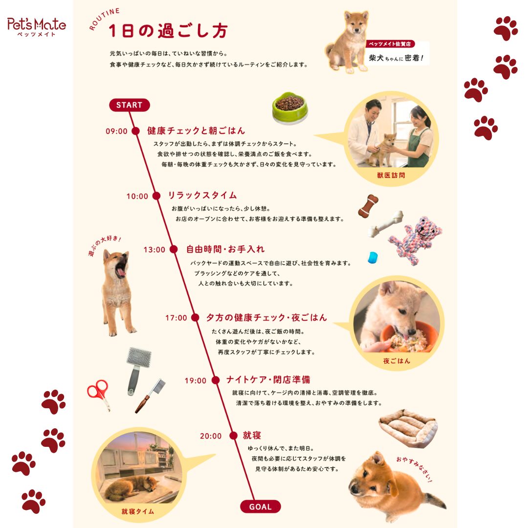 お店のわんちゃんの1日