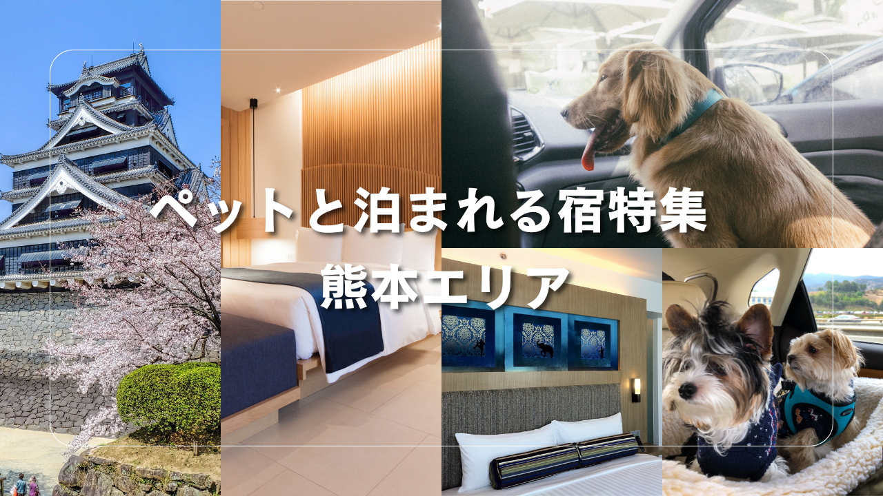 ペットと泊まれる宿特集 熊本エリア