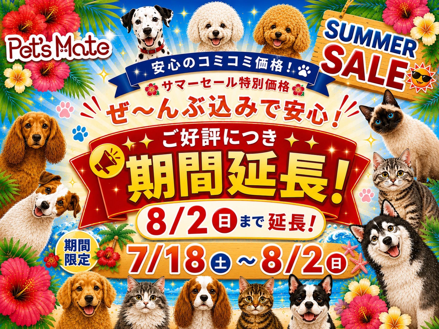 ミヌエット ブルーチンチラゴールデンの子猫｜福岡 |ペッツメイトイオン乙金店