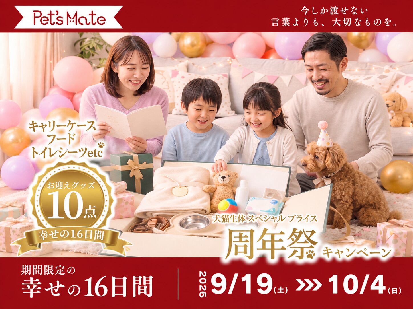 MIX(チワワ×ダックス) チョコタンの子犬｜宮崎 | ペッツメイト宮交シティ店