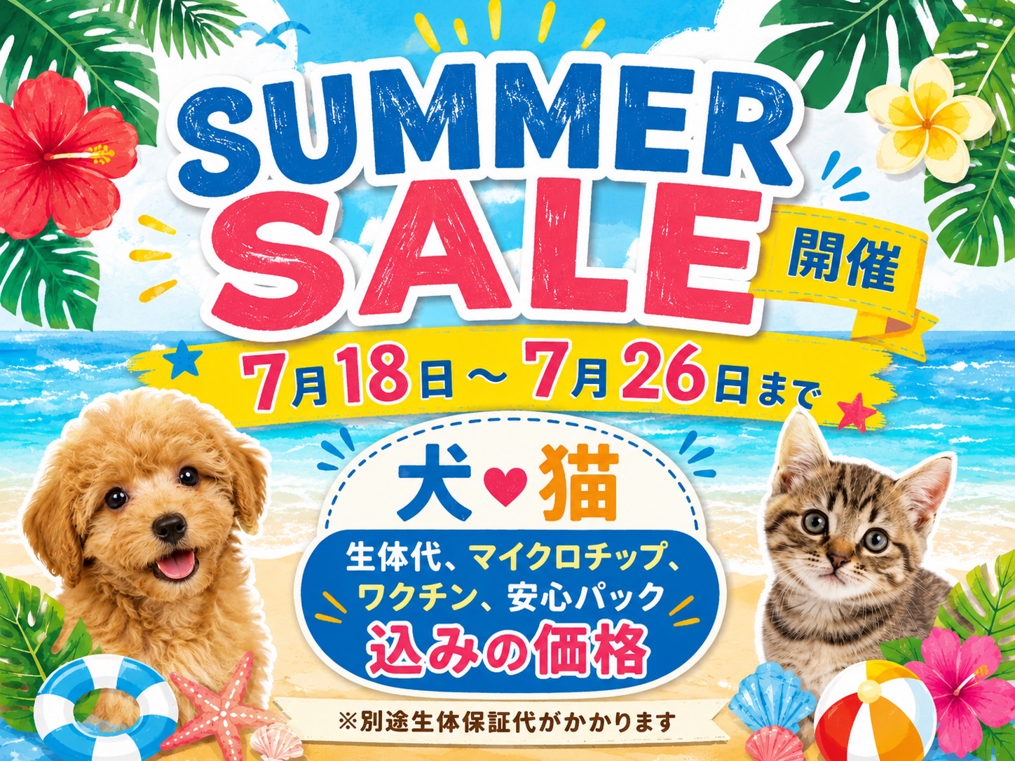 ミニチュアダックスフンド シェーテッドイエローの子犬｜福岡 |ペットアミ甘木店