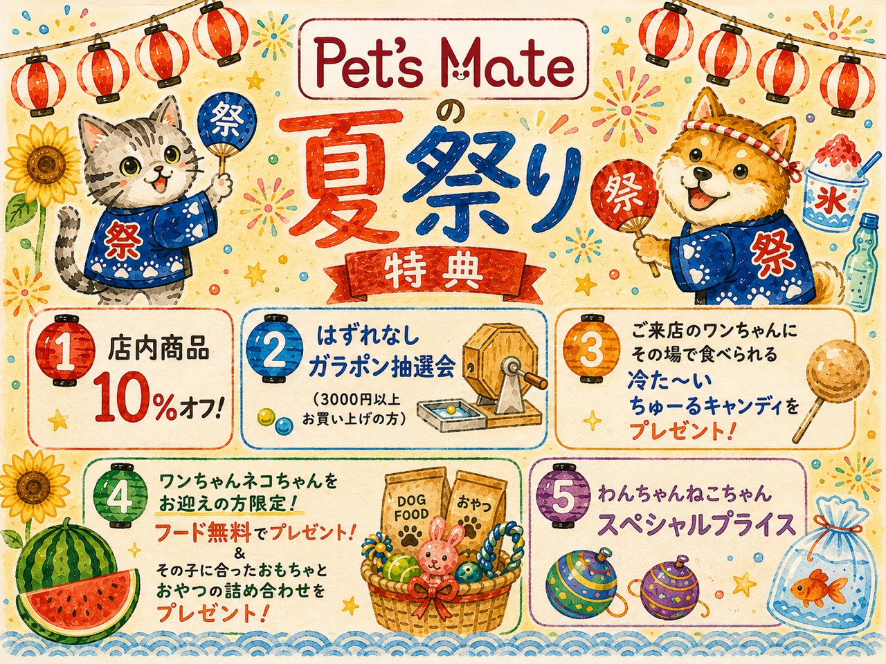 ポメラニアン ウルフセーブルの子犬｜福岡 | ペッツメイト天神大名店